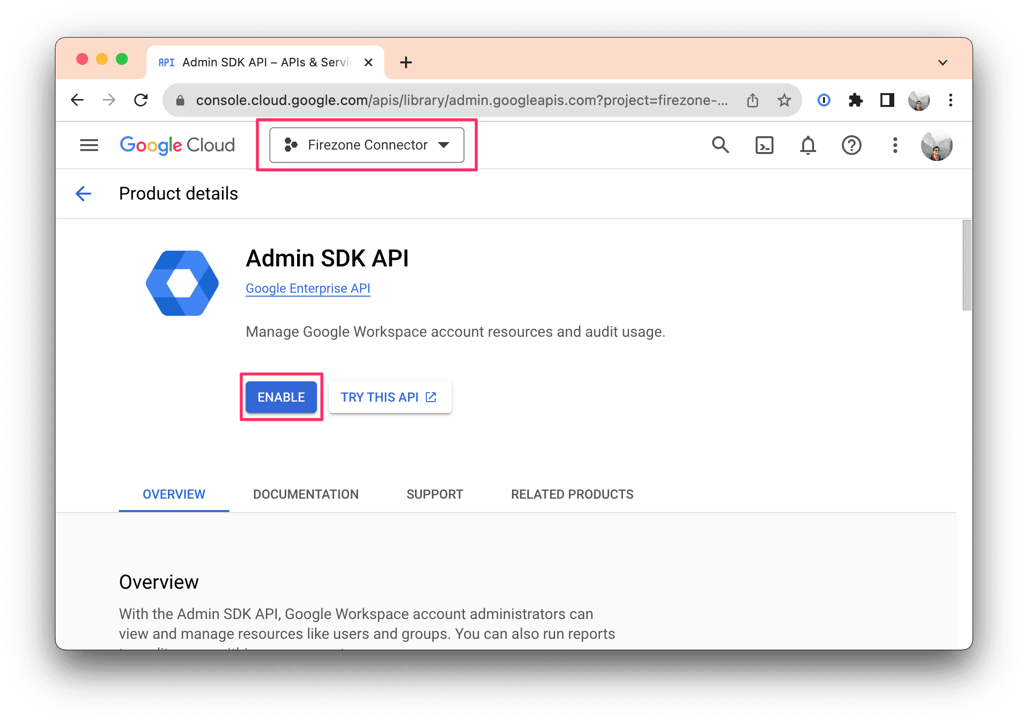 Enable Admin SDK API